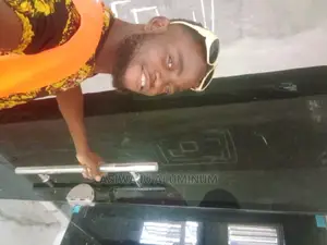 Dark Framless Doors