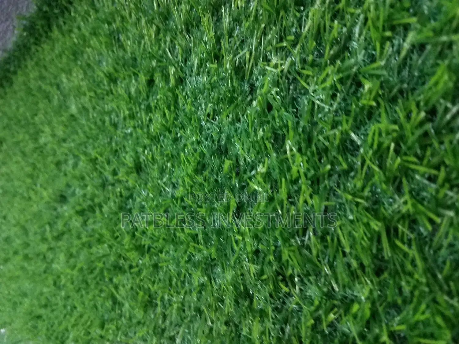 Artificial Grass Carpet, #7000 Per Sqm.