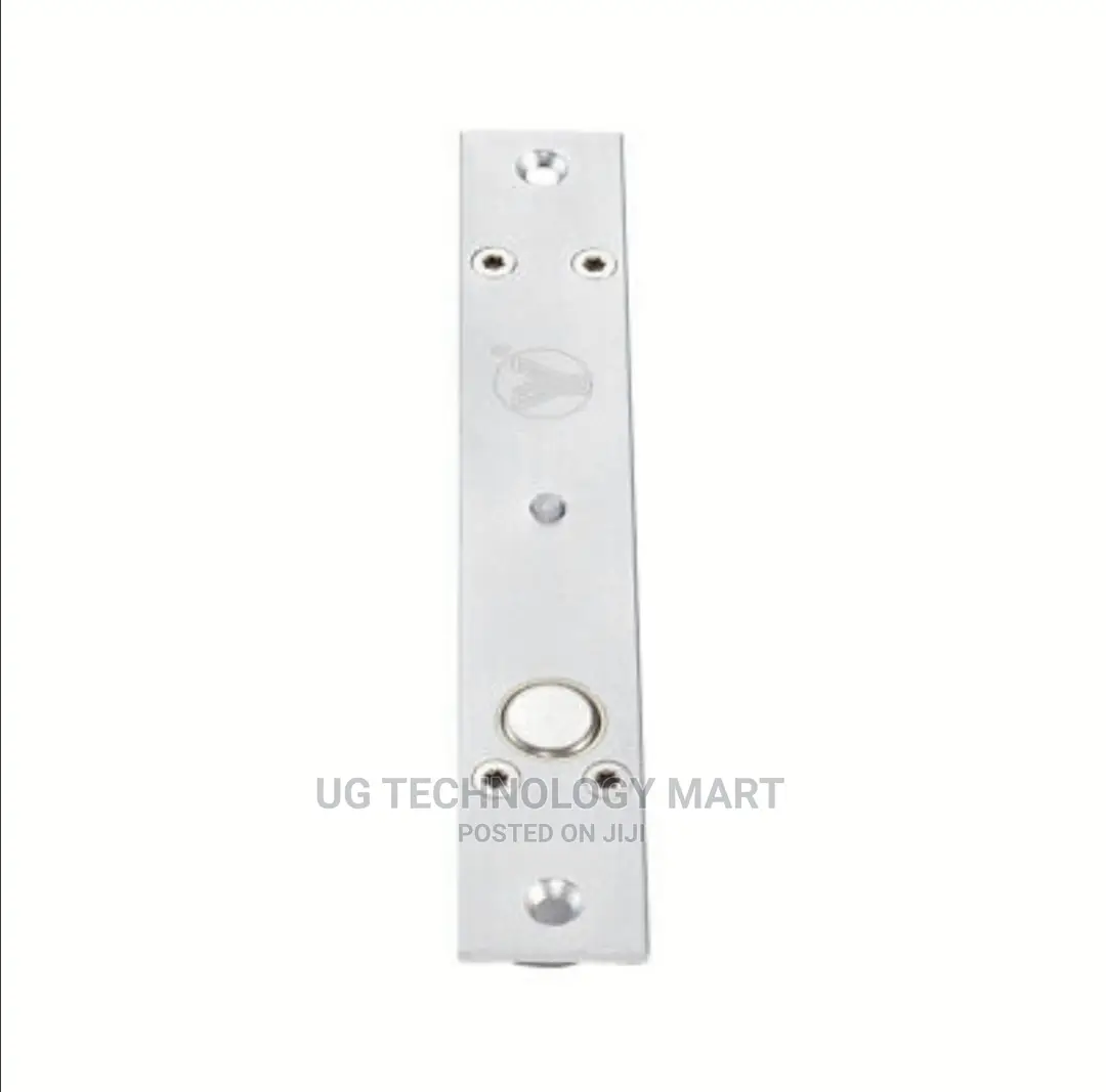 LED Electric Bolt Lock Fail Safe Time Delay Doorstatusoutput