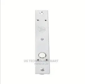 LED Electric Bolt Lock Fail Safe Time Delay Doorstatusoutput
