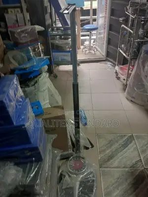 Seca Standiometer