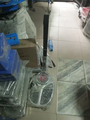 Seca Standiometer