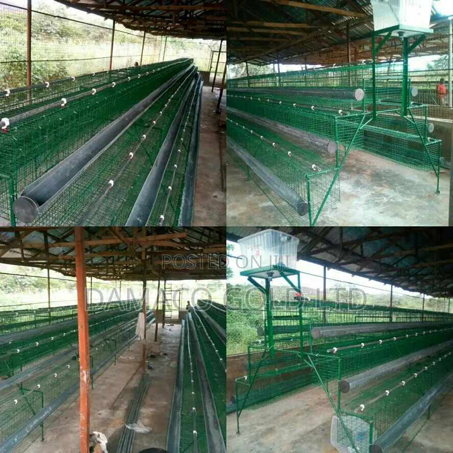 Quality Battery Cage