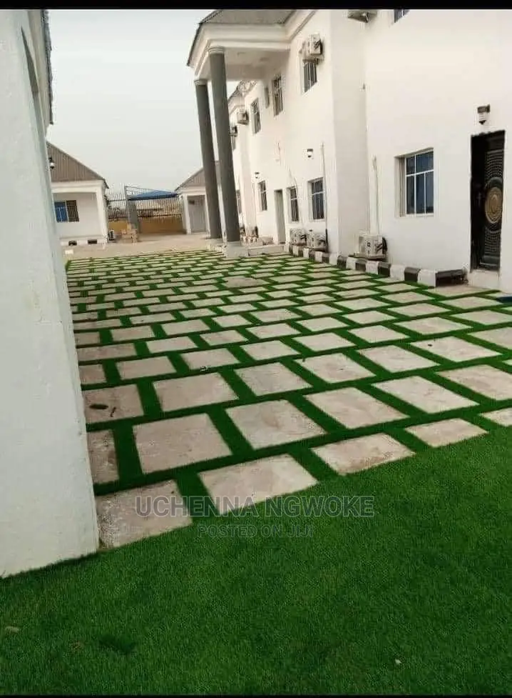 Standard Turkish Grass