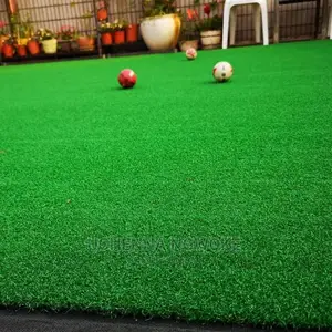 Standard Turkish Grass