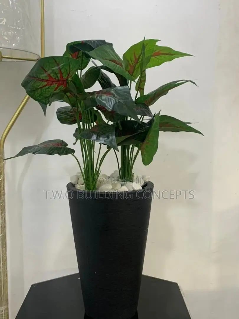Flower Pot With Stone