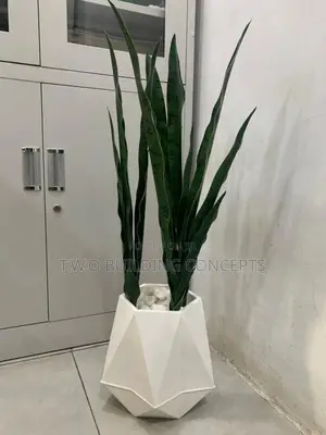 Flower Pot With Stone