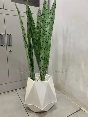 Flower Pot With Stone
