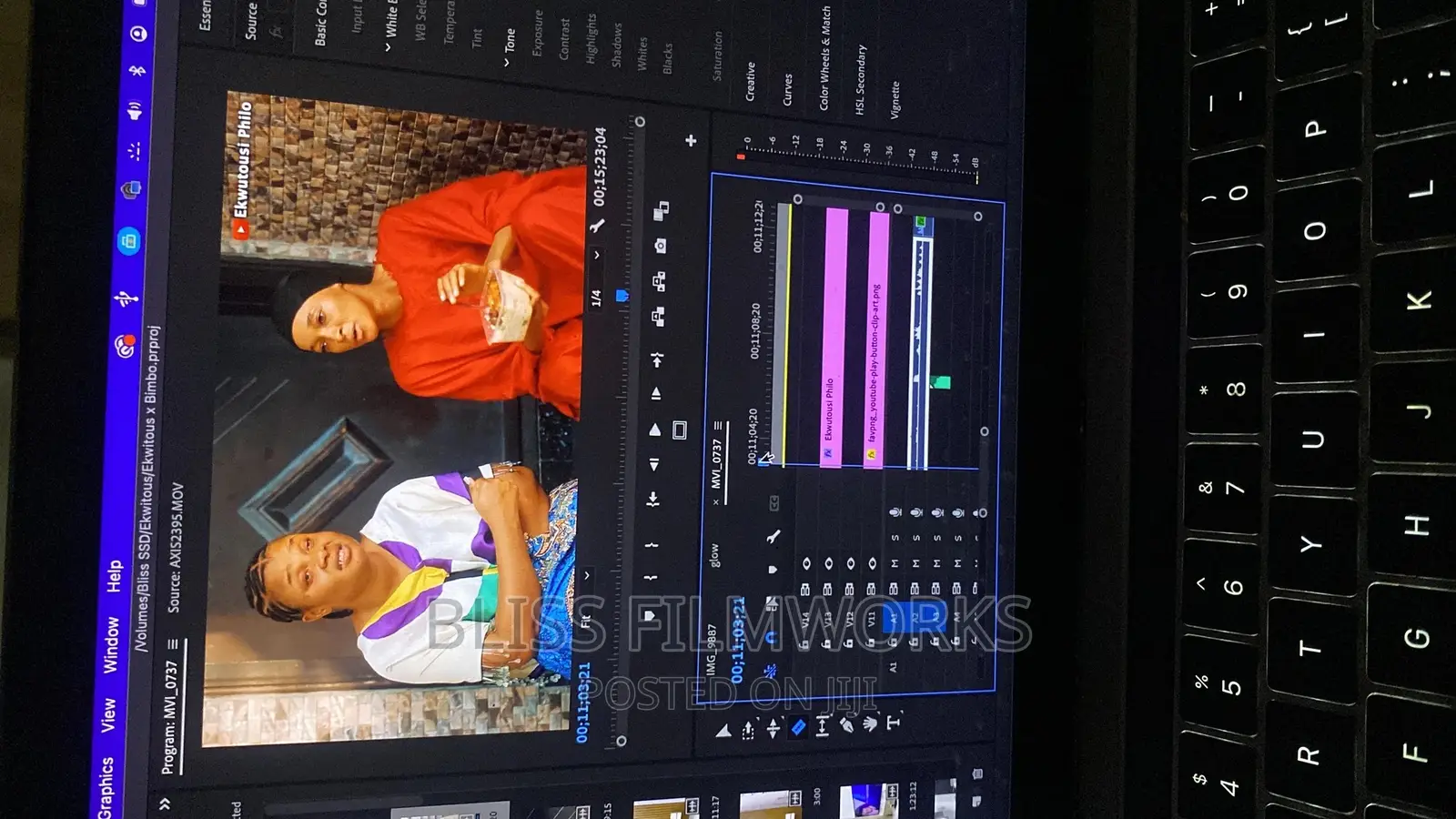 Professional Video Editor