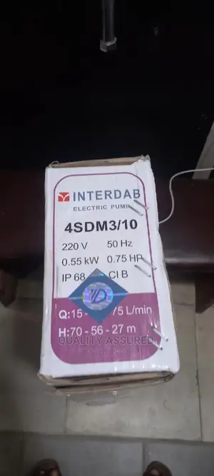 Interdab Submersible 3⁄4 Water Pump