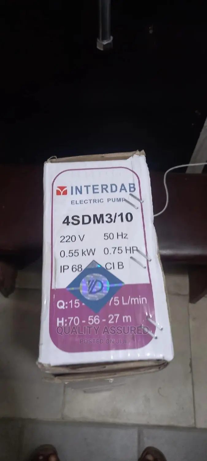 Interdab Submersible 3⁄4 Water Pump