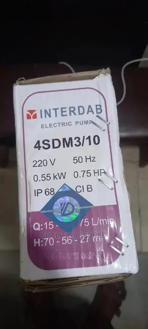 Interdab Submersible 3⁄4 Water Pump