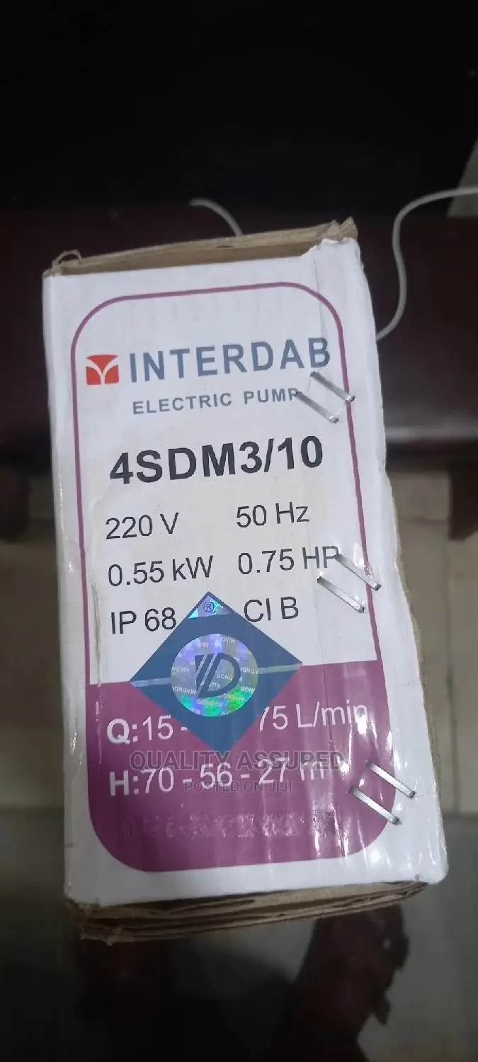 Interdab Submersible 3⁄4 Water Pump