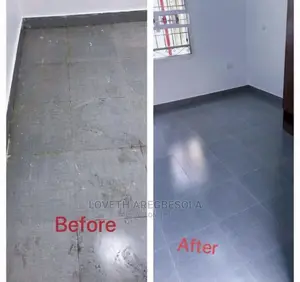 Professional Cleaning Service