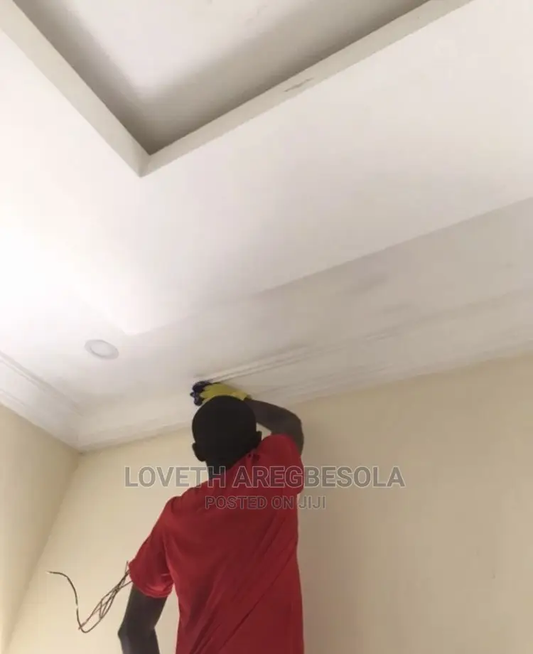Professional Cleaning Service