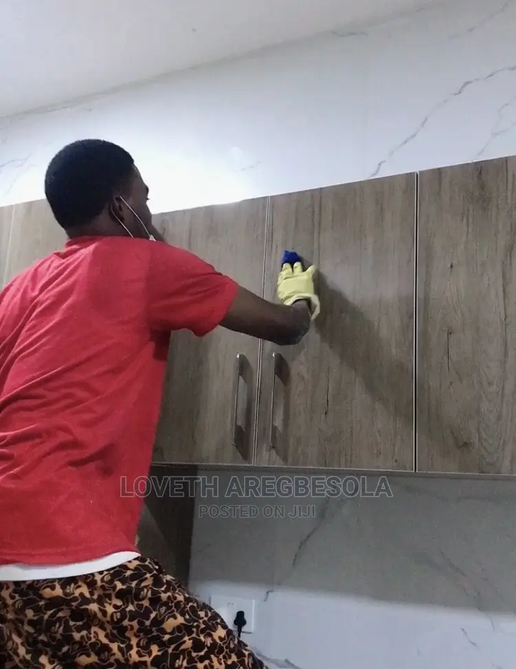 Professional Cleaning Service