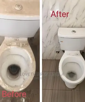 Professional Cleaning Service
