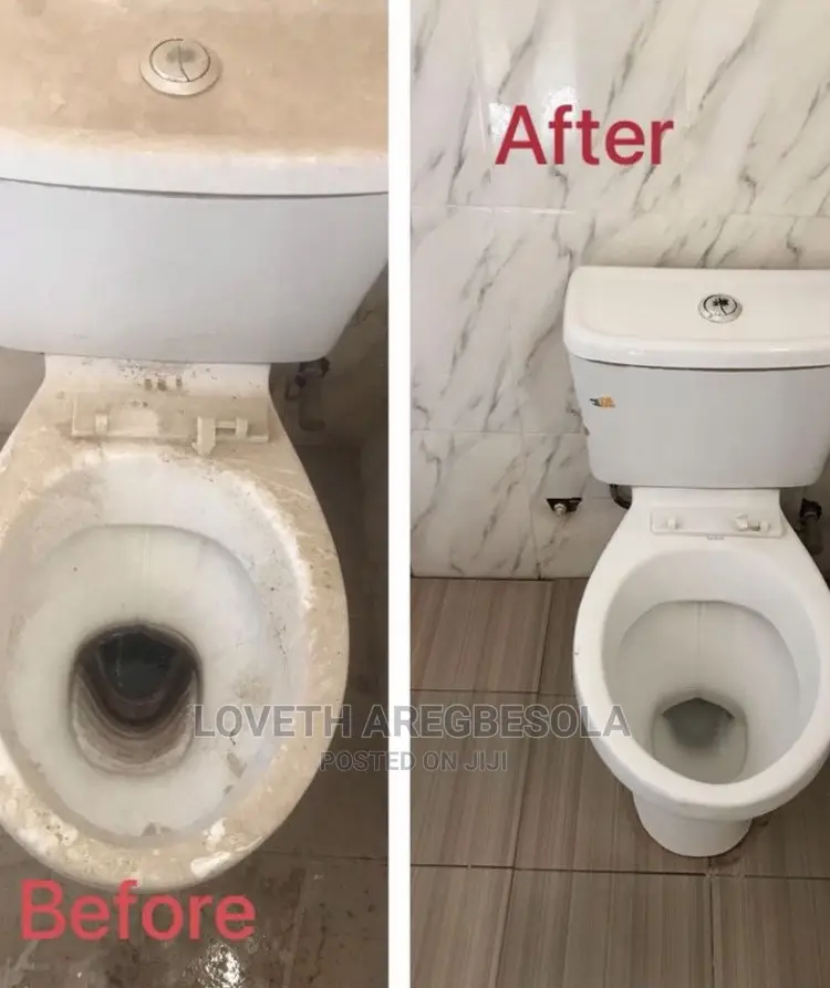 Professional Cleaning Service