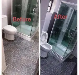 Professional Cleaning Service