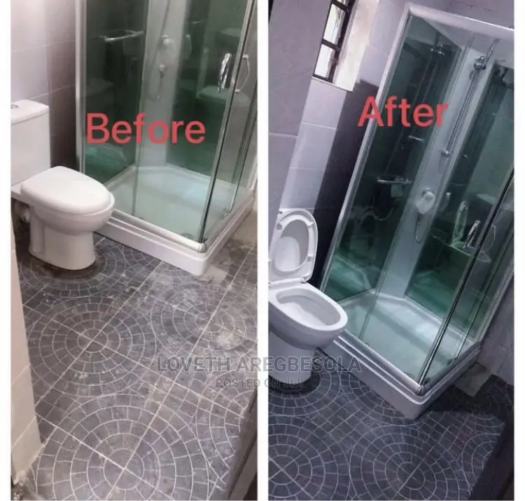 Professional Cleaning Service