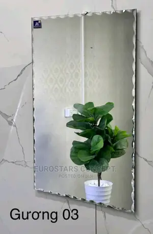 Simple Plan Mirror
