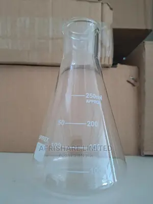 Conical Flask 250ml