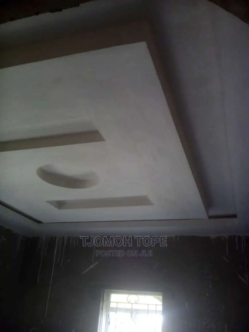 Pop Celine Design and Wall Screeding
