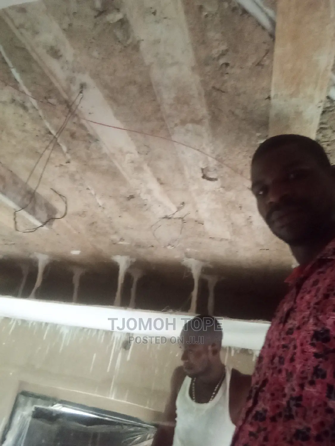 Pop Celine Design and Wall Screeding