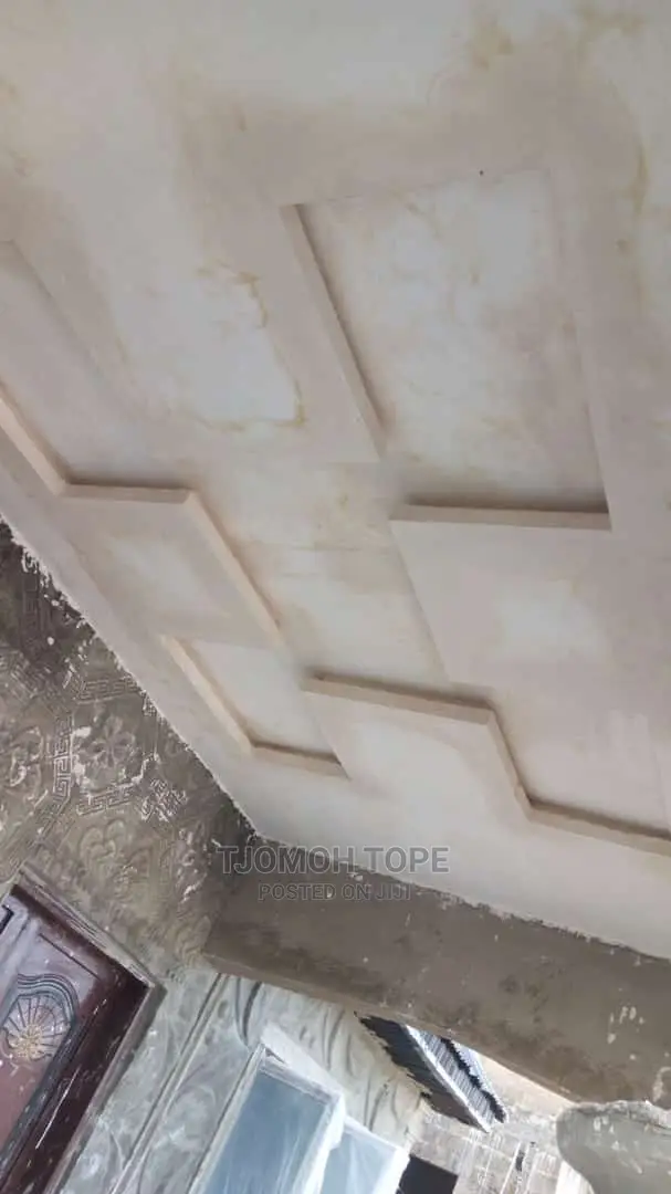 Pop Celine Design and Wall Screeding