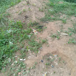 That 30 Plots of Land Is for Sale