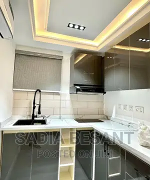 Kitchen Cabinet and Accessories