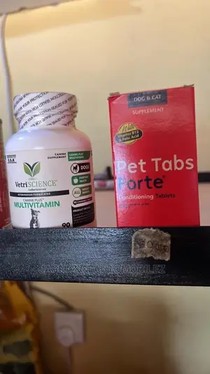 Dog Feeds and More