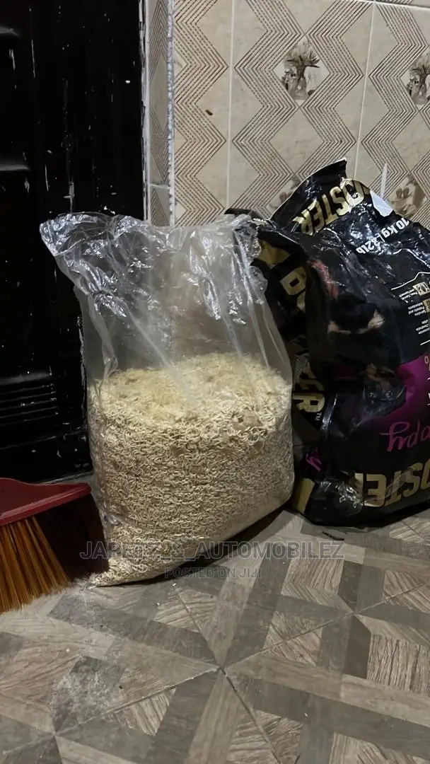 Dog Feeds and More
