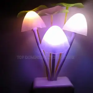 Dark Automatic Colorful Light