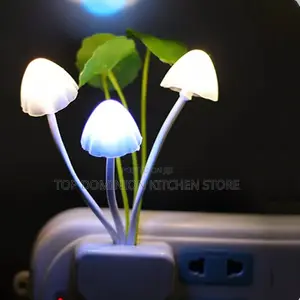 Dark Automatic Colorful Light