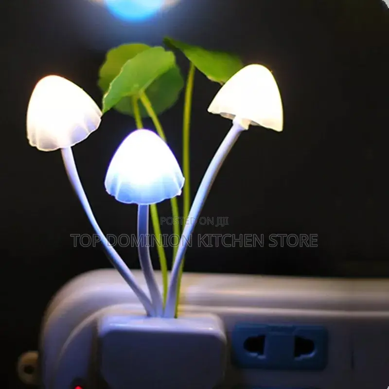 Dark Automatic Colorful Light