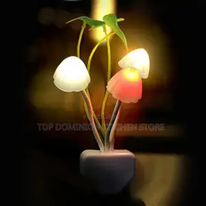Dark Automatic Colorful Light
