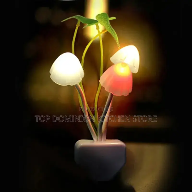 Dark Automatic Colorful Light