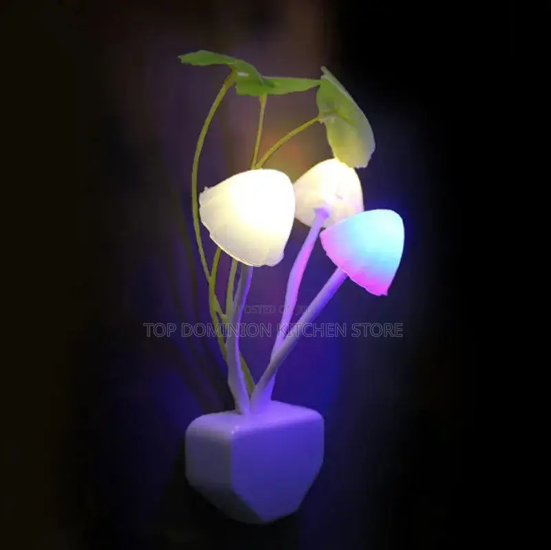 Dark Automatic Colorful Light