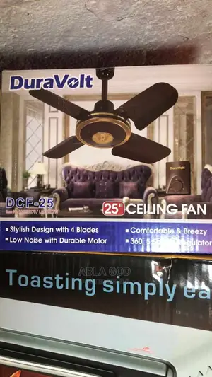 Duravolt 25" Ceiling Fan
