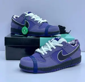 Original CNCPTS X NIKE SB DUNK Low Available in Store