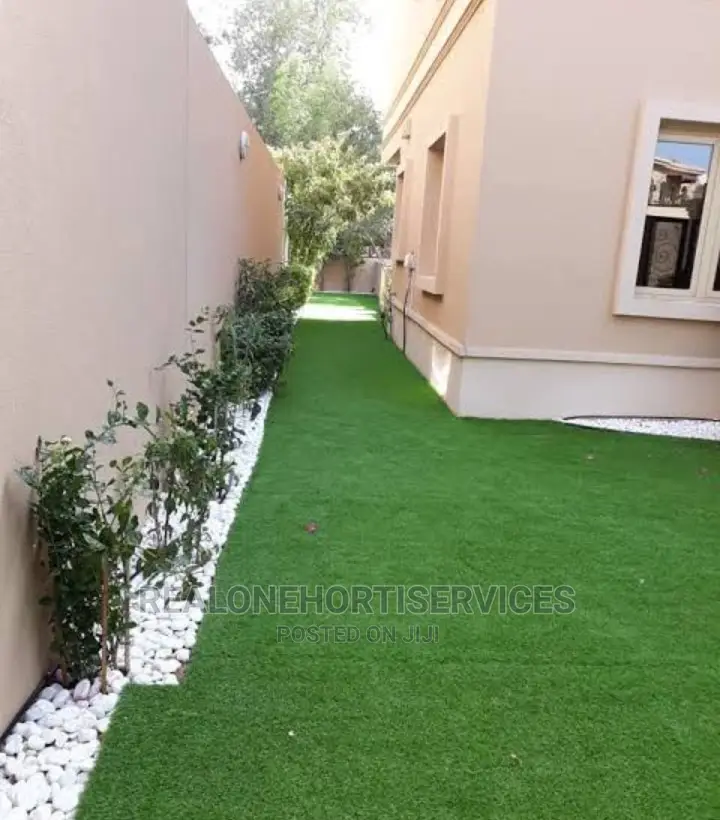 Carpet Grass For Lawn