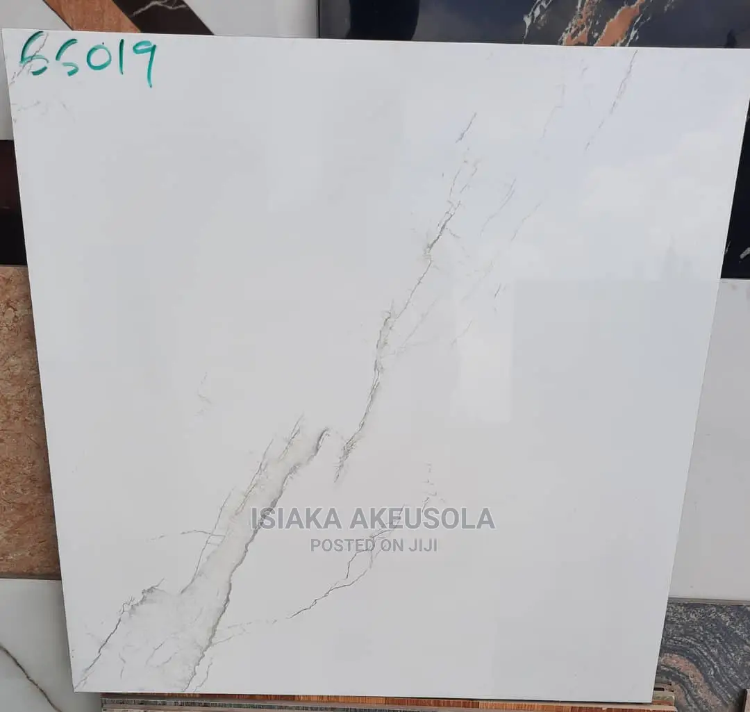 60 X 60 Polish Floor Tiles