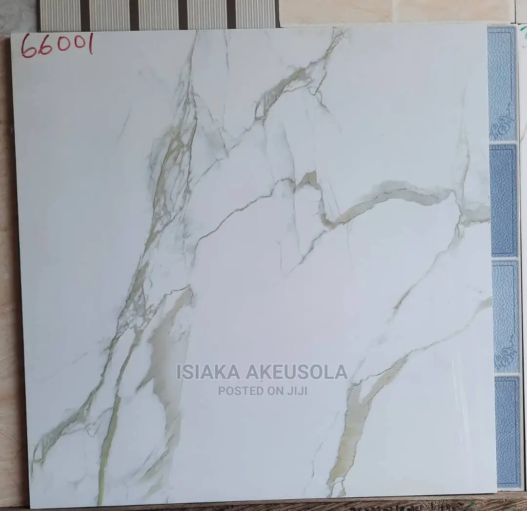 60 X 60 Polish Floor Tiles