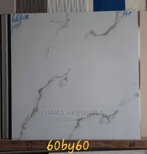 60 X 60 Polish Floor Tiles