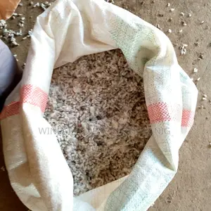 Cotton Seeds