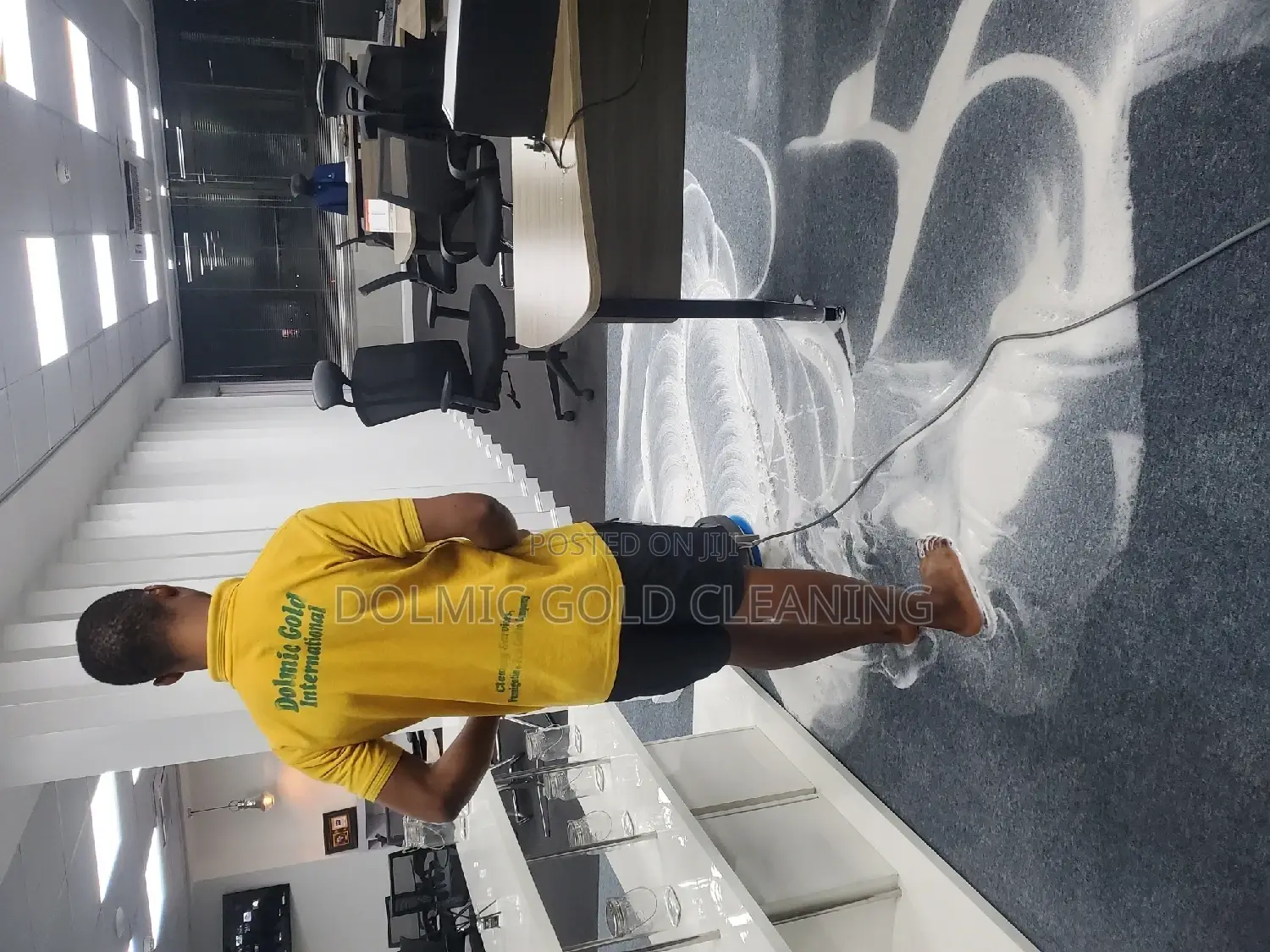 Rug and Carpet Cleaning Services Expert