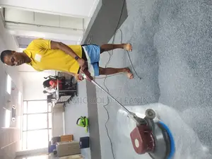 Carpet and Rug Cleaning Professionals