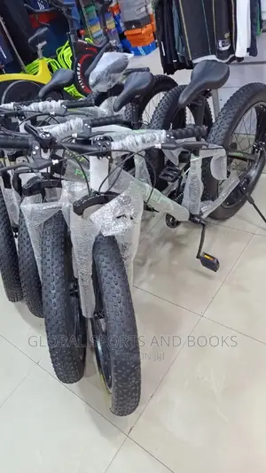 Fat Giant Tyre Bike