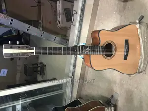 Fender Semi Acoustic Guitar